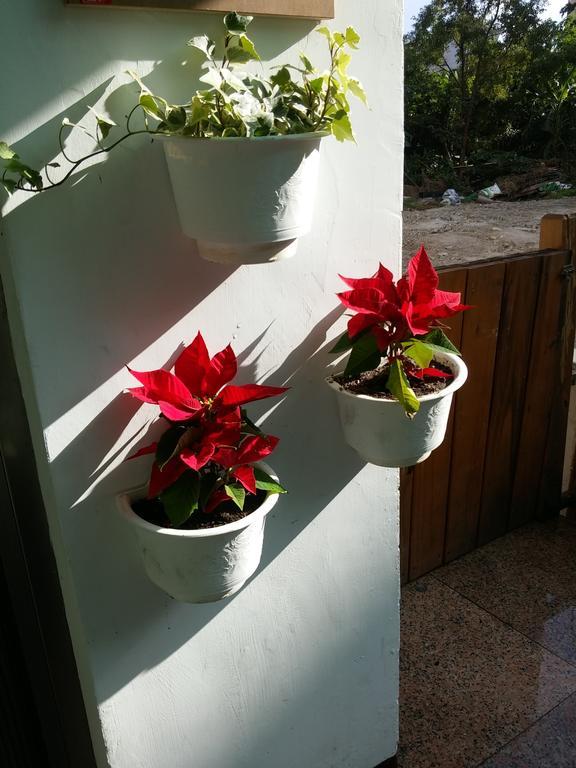 Flower B&B Хуалянь Экстерьер фото